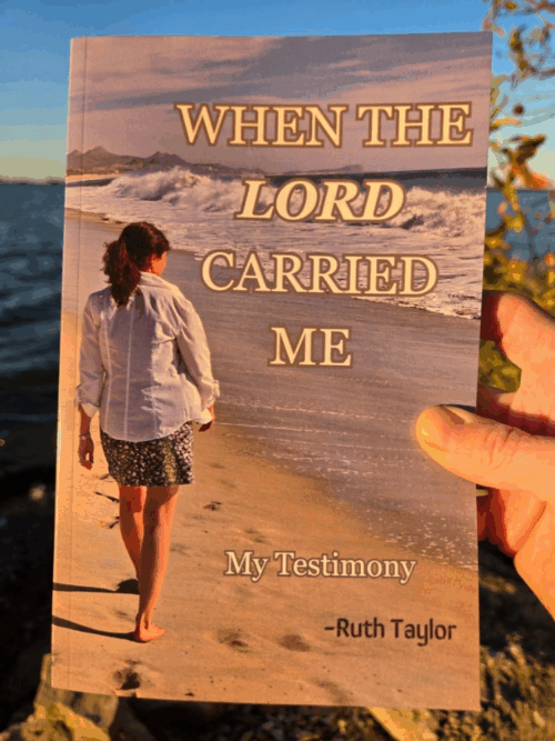 'When The Lord Carried Me' My Testimony