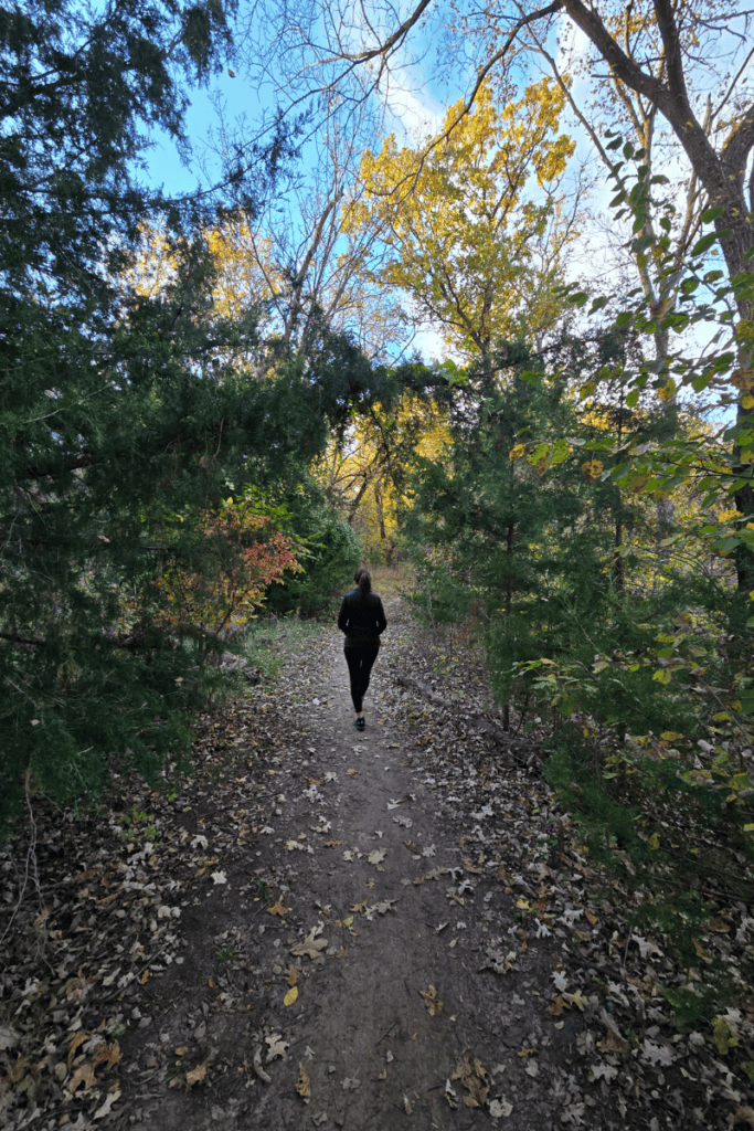 Bible Verses About Loneliness