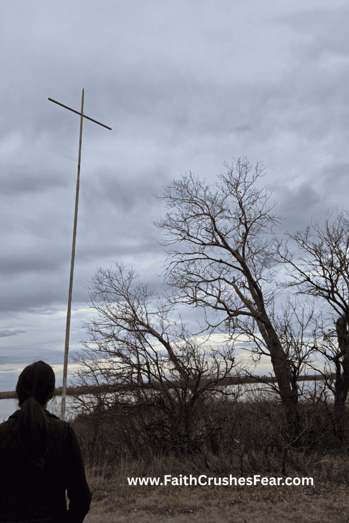 Rooted in Faith