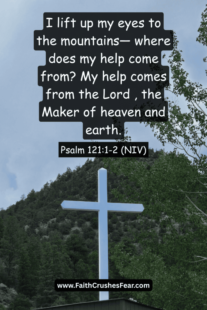 What to read in the Bible when you feel alone