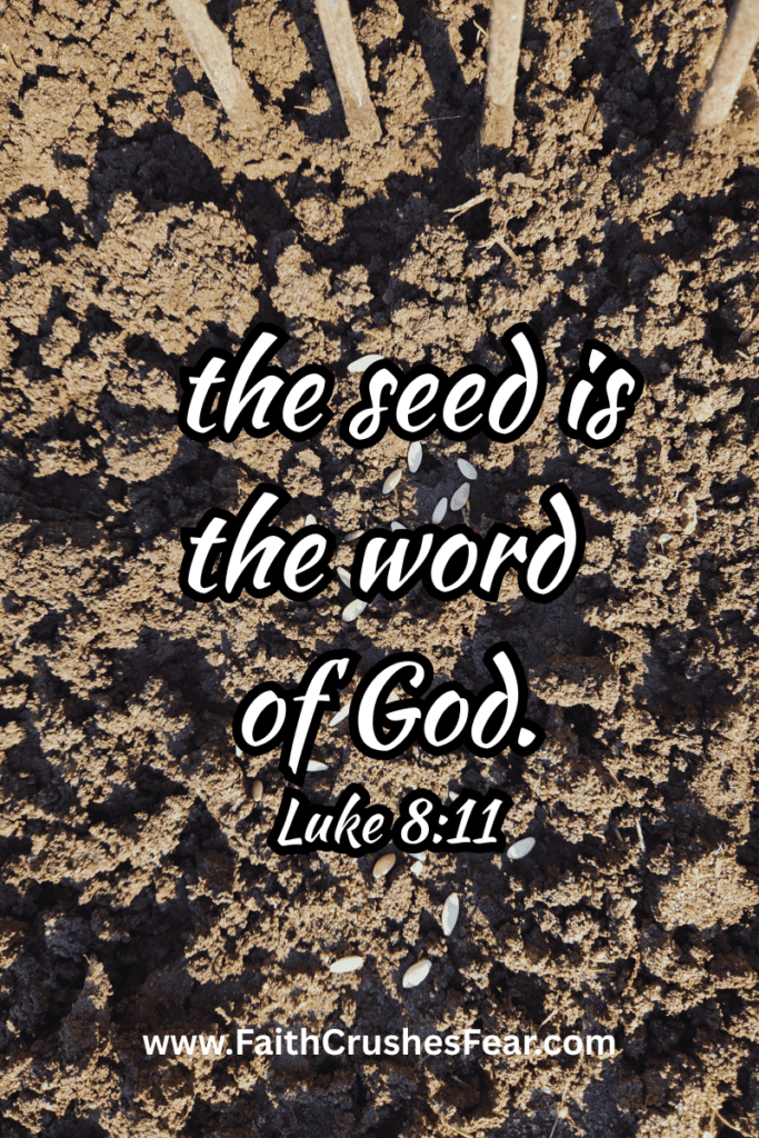 Bible Verse