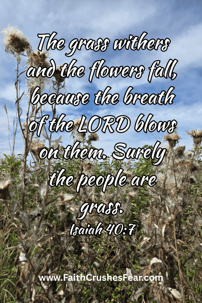 Bible Verses About Flowers
