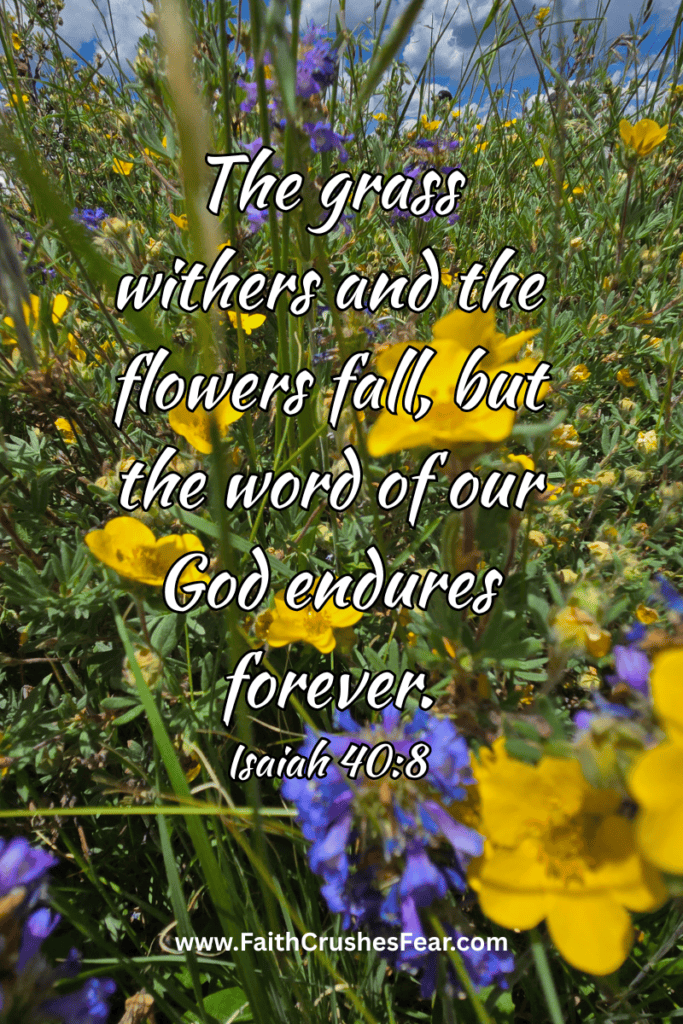 Bible Verses About Flowers