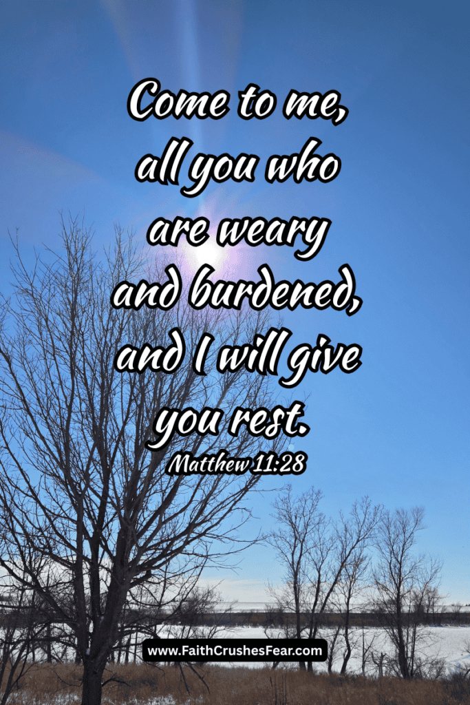 In the midst of the storm Bible verse