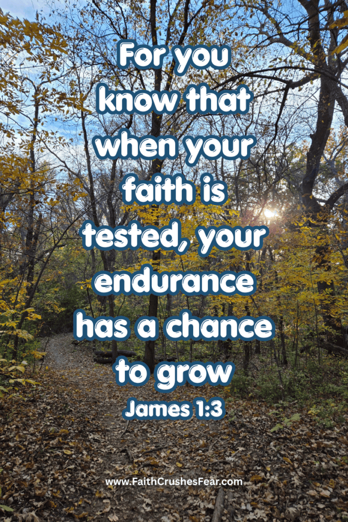 Bible Verses About Finishing The Race