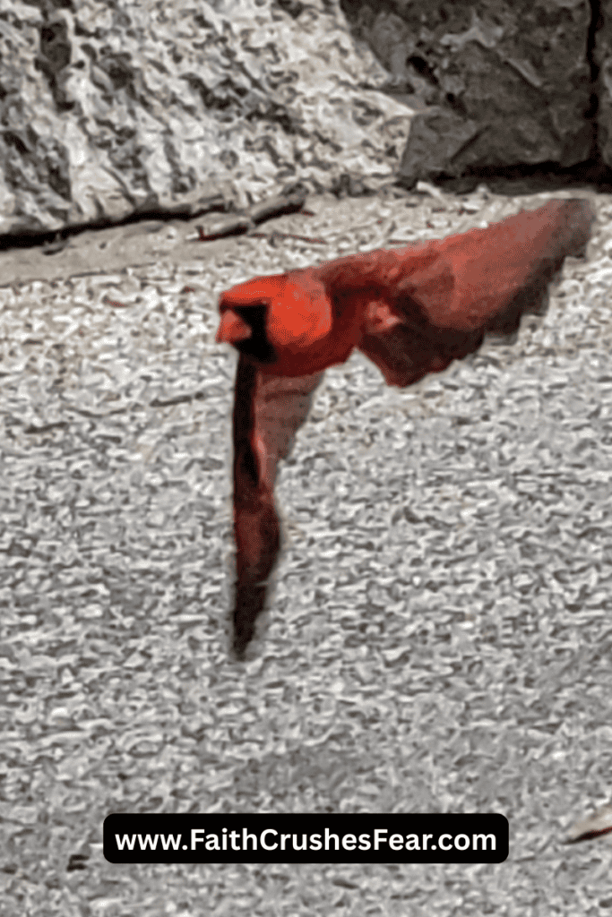 Examples of trusting God in the Bible