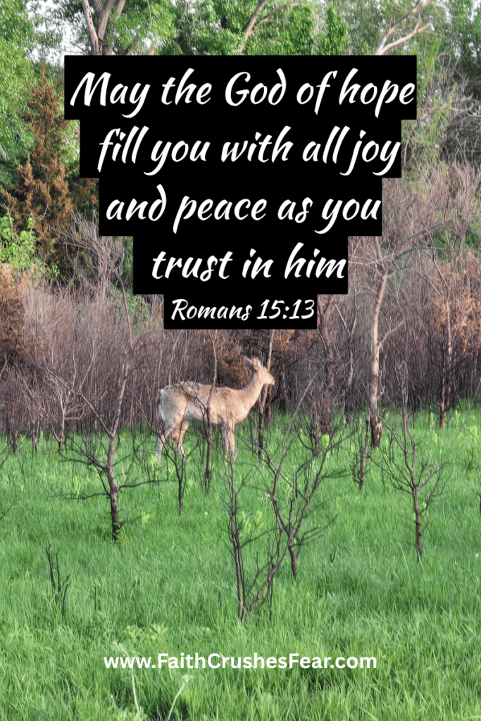 Bible Verses About Better Days