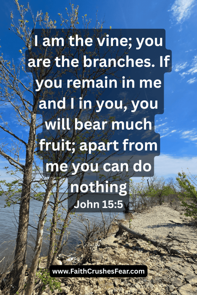 What does the Bible Say about Drug Addiction