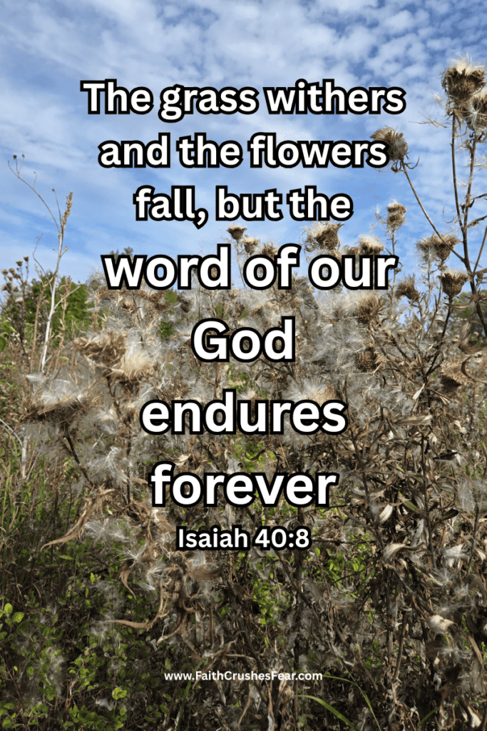 Bible verses about eternal life