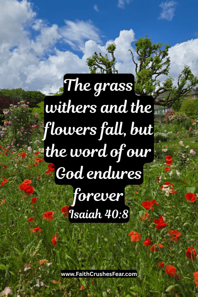 Flowers in the Bible