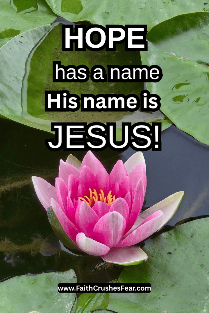 Flowers in the Bible