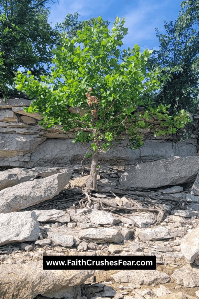 God is our rock Bible Verses