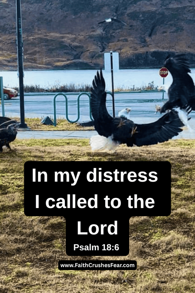 Let go and let God Bible Verses