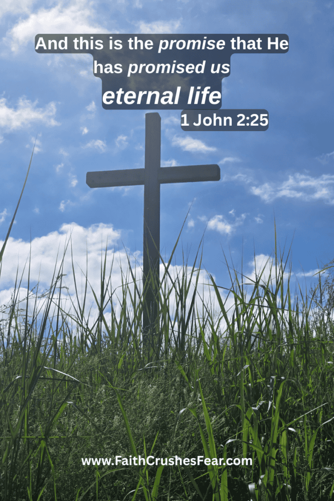 how does one gain eternal life bible verses