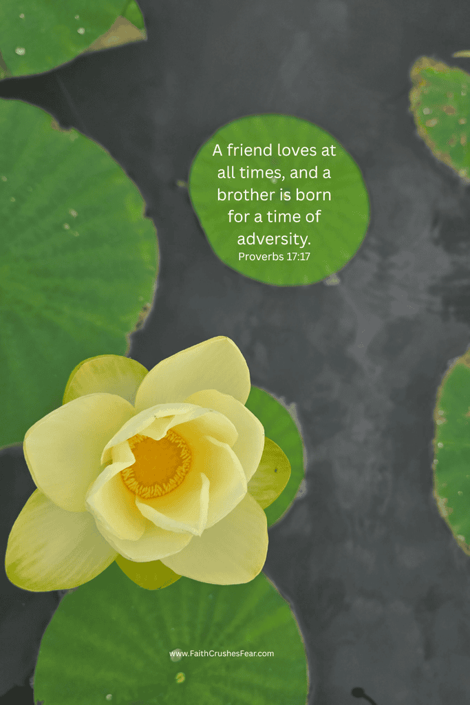 Thankful for friendships Bible verses