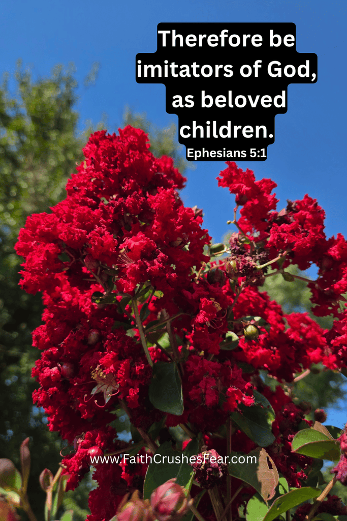 Bible Verses about being an example