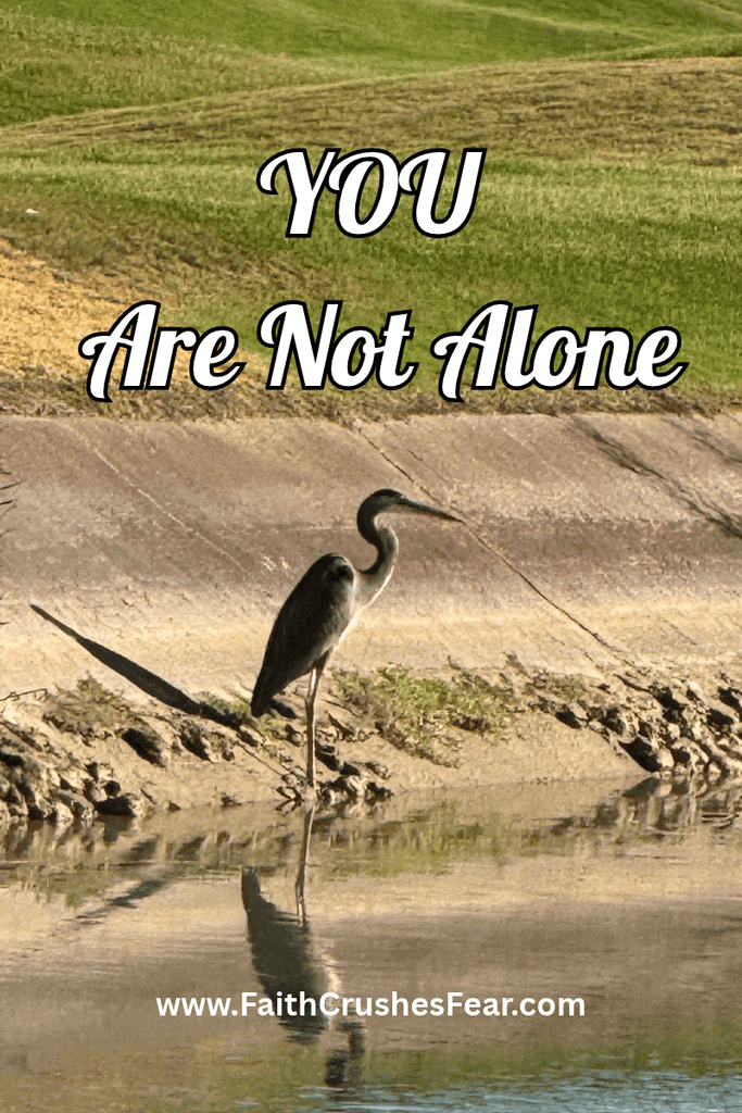 bible verses about fellowship with friends