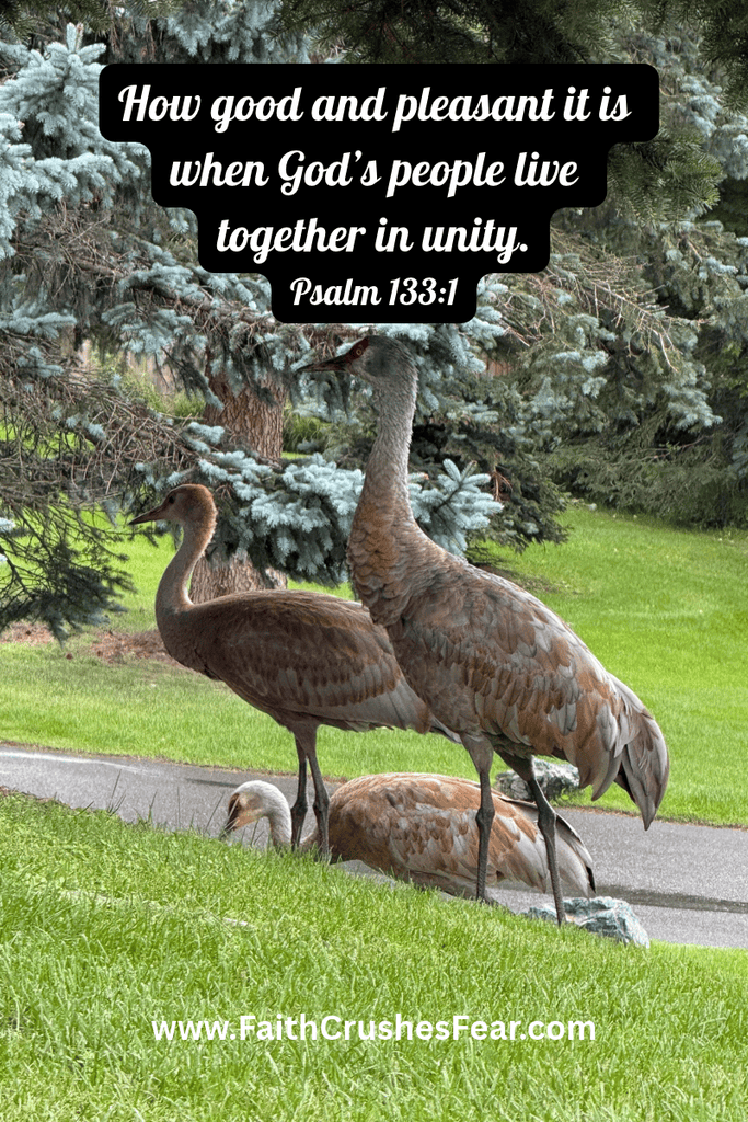 Bible verses about fellowship with friends