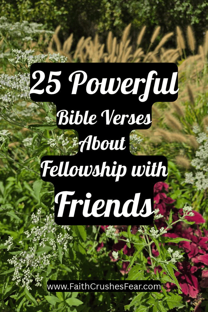 bible verses about fellowship with friends