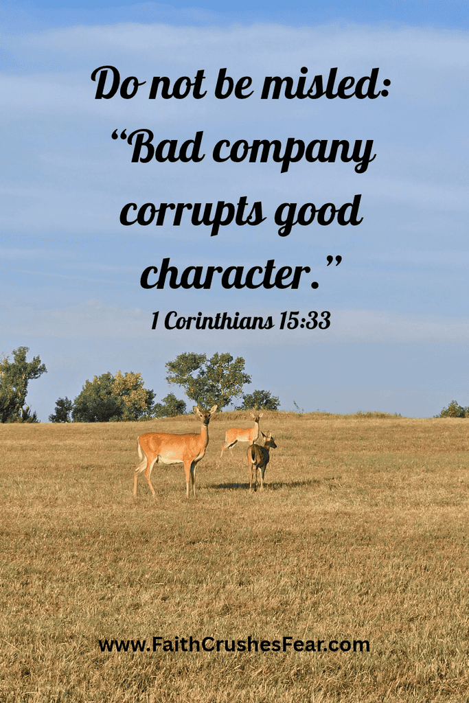 Bible verses about fellowship with friends